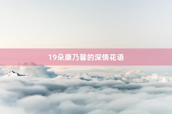 19朵康乃馨的深情花语