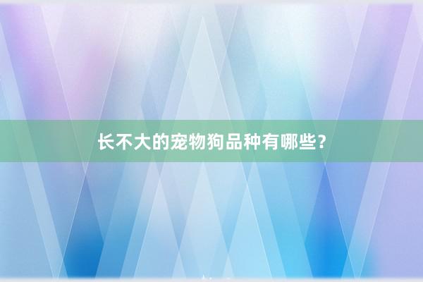 长不大的宠物狗品种有哪些？