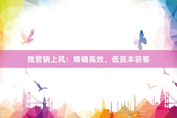 微营销上风：精确高效，低资本获客